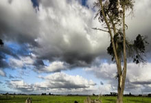 开云体育入口-山西队全力以赴，击败新疆队赢得胜利，新疆队和山西队比赛实况