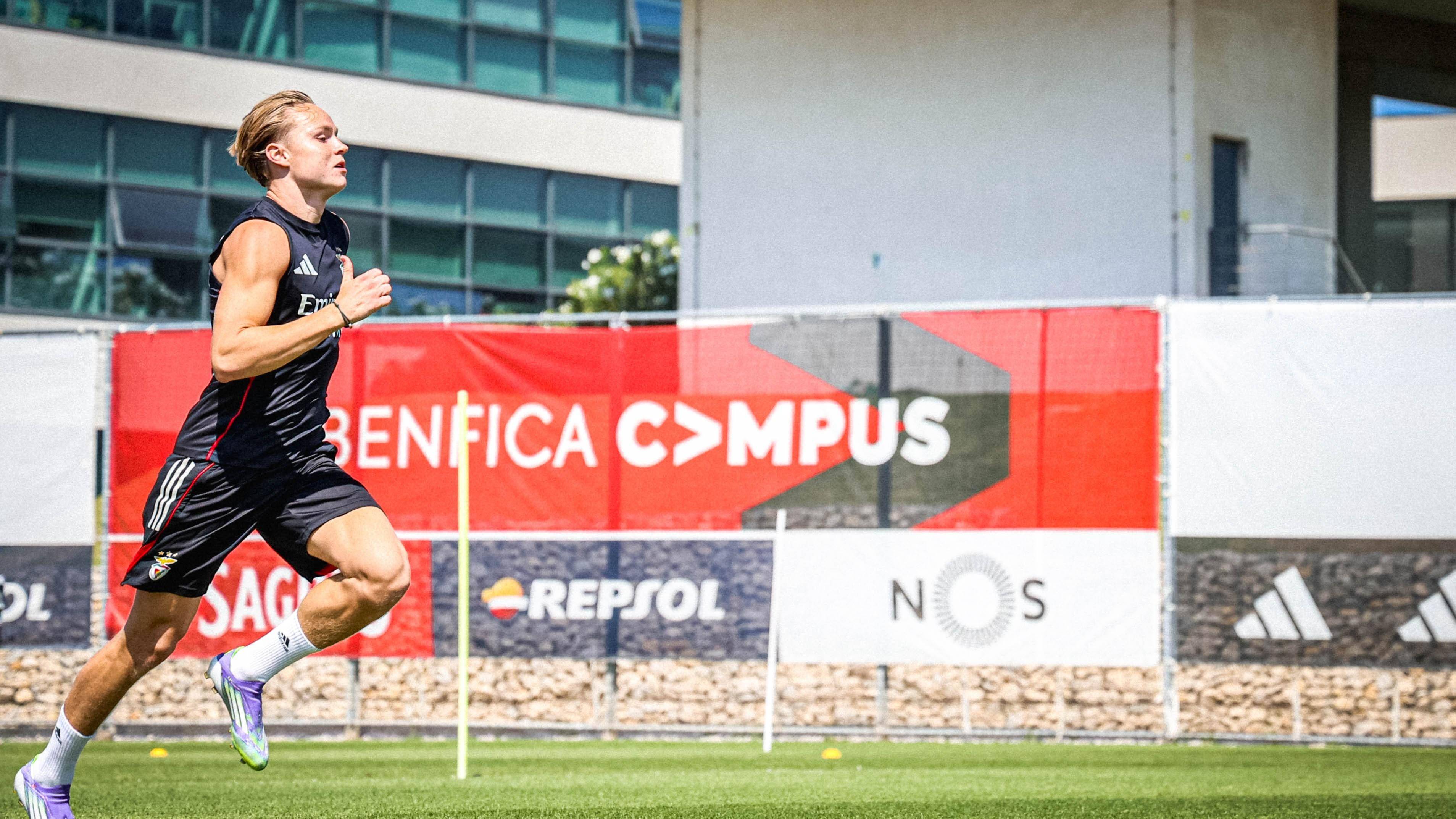 尼斯不敌对手遭遇失利,战术调整求胜 尼斯不敌对手遭遇失利,战术调整求胜